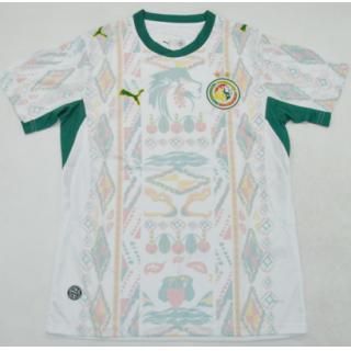 Senegal 1a Equipación 2026